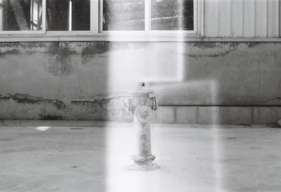 Analog photography session on 35mm film